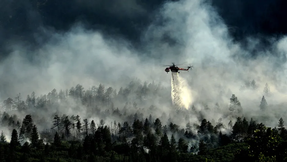 Waldbrand